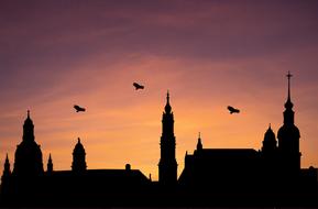 West Birds over Church