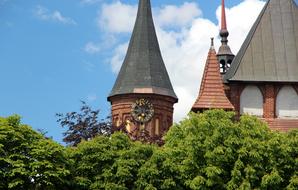 Tower Clock Cathedral and green trees