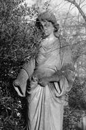 Grave Angel Cemetery statue black and white, england, london