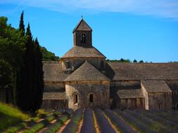 landscape of Monastery Abbey and violet flowers