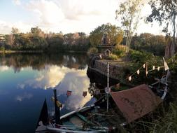 River Boat forest