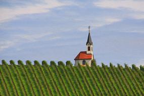 Beautiful chapel and colorful vineyard, at blue sky with white clouds