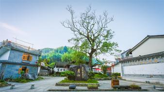 Mountain and Ancestral temple in Village
