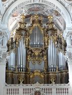 Main Organ