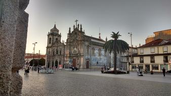 palm tree in the square near the church