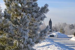 Russia snow winter Road and tree
