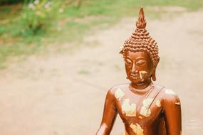Beautiful and colorful statue of Buddha, near the green plants in Thailand