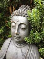 Buddha statue in branches