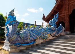 Beautiful, blue and yellow dragon snake in the temple complex in North Thailand