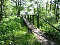 Forest Church Pier