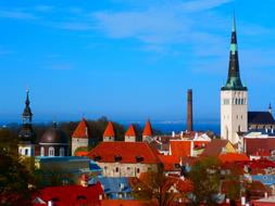Oleviste Churches Tallinn