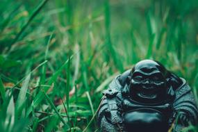 stone sculpture of buddha in green grass