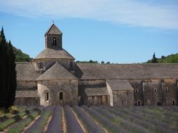 Monastery and violet lavander flowers