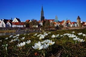 spring meadow and church