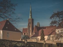 cathedral with a tower in the city