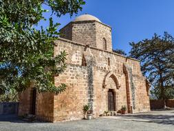 trees near the orthodox church in cyprus