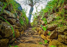 old sewer among stones