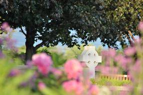 Faith Cross white in Garden