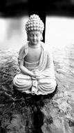 Black White buddha