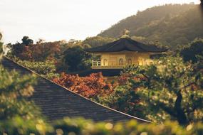 temple among the trees in the mountains in autumn