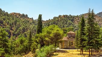 Mountain green Forest and church