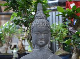 Buddha in zen statue