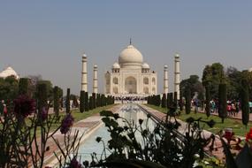 India Taj Mahal flowers