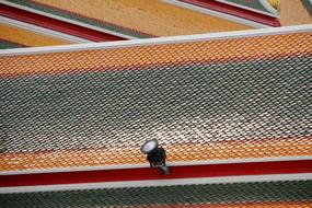 Temple Roof colors