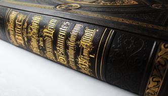 Spine Leather Back Gold book