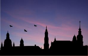 West Sky Birds silhouettes