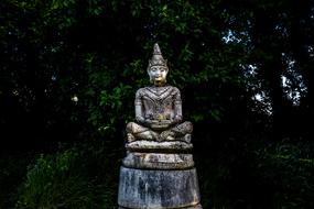 Beautiful Buddha statue near the green trees