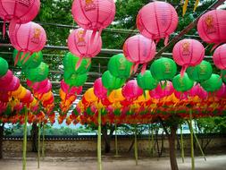 paper lanterns of different colors in korea