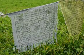 prayer flags over green grass close up