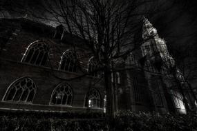 Black and white phot with the beautiful landscape of the church, among the trees, in winter