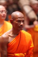 monk in orange clothes on a blurred background