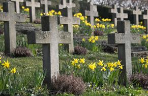 Cemetery Cross and yellow flowers
