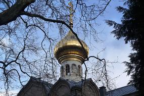 Baden Church Tree and gold roof