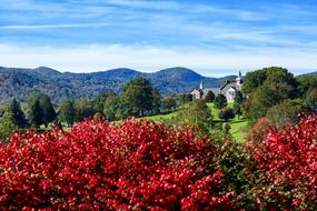 Landscape of Mountain Church and flowers