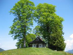 small church under the trees on the hill on a sunny day