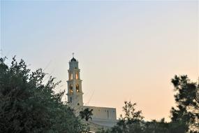 Beautiful tower, among the green trees, at colorful and beautiful, gradient sunset