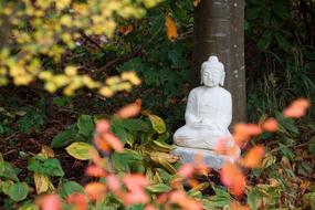 Beautiful, white, marble Buddha sculpture, among the colorful and beautiful plants, in the autumn