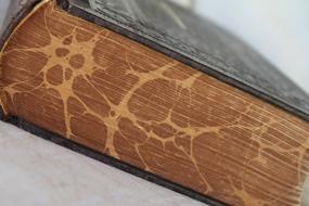book with old pages close up