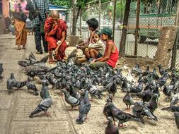 monks and boys near doves