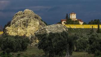 Rock Olive Trees
