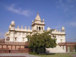 India Temple and tree