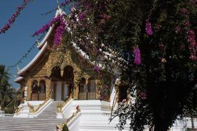 Asia Temple and purple trees