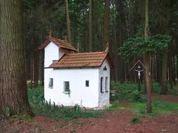 Forest Trees and whire church