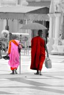 monks in burma in monochrome