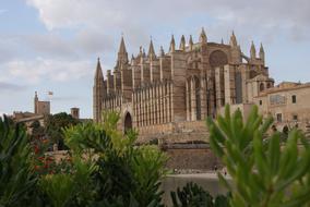 view of the cathedral in mallorca