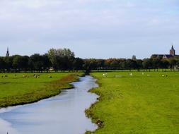 Landscape of water Stream Netherlands